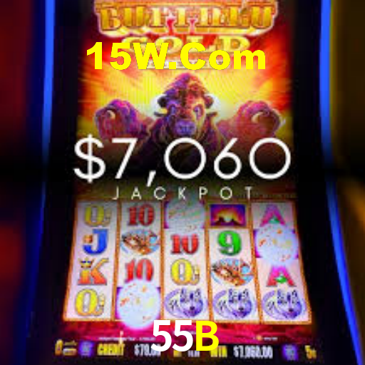 55B,55B App